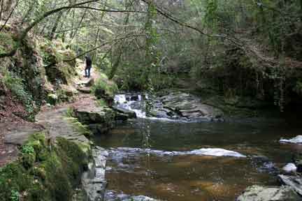 clare glens scenic walking hike-1hour from piper cottage